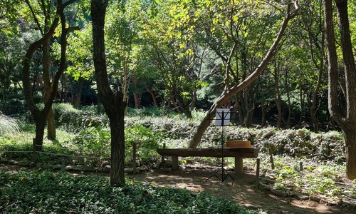 24 petits préludes pour la guitare